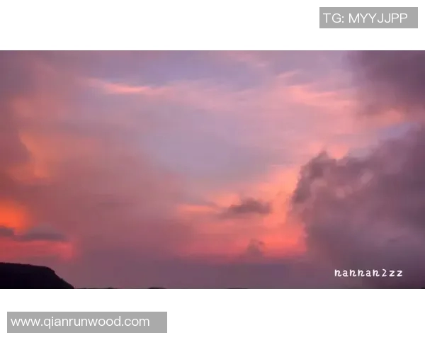 阙云小Z报点带你领略最新资讯与独家视角的精彩世界