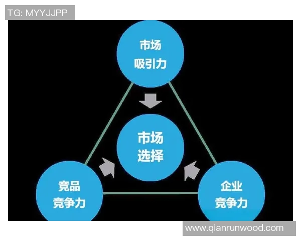 掌握AG领域控场技巧提升竞争力的全方位策略与实践分享