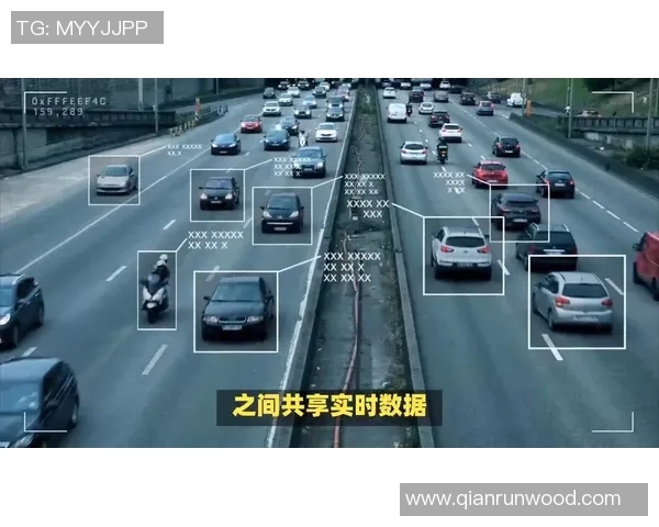 向鱼中路调度的策略与实践探索在城市交通管理中的应用研究